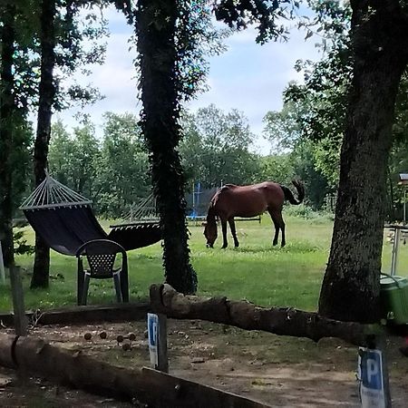 Maisonnette Pour Detente Ou Travail Saint-Aubin-de-Nabirat Εξωτερικό φωτογραφία
